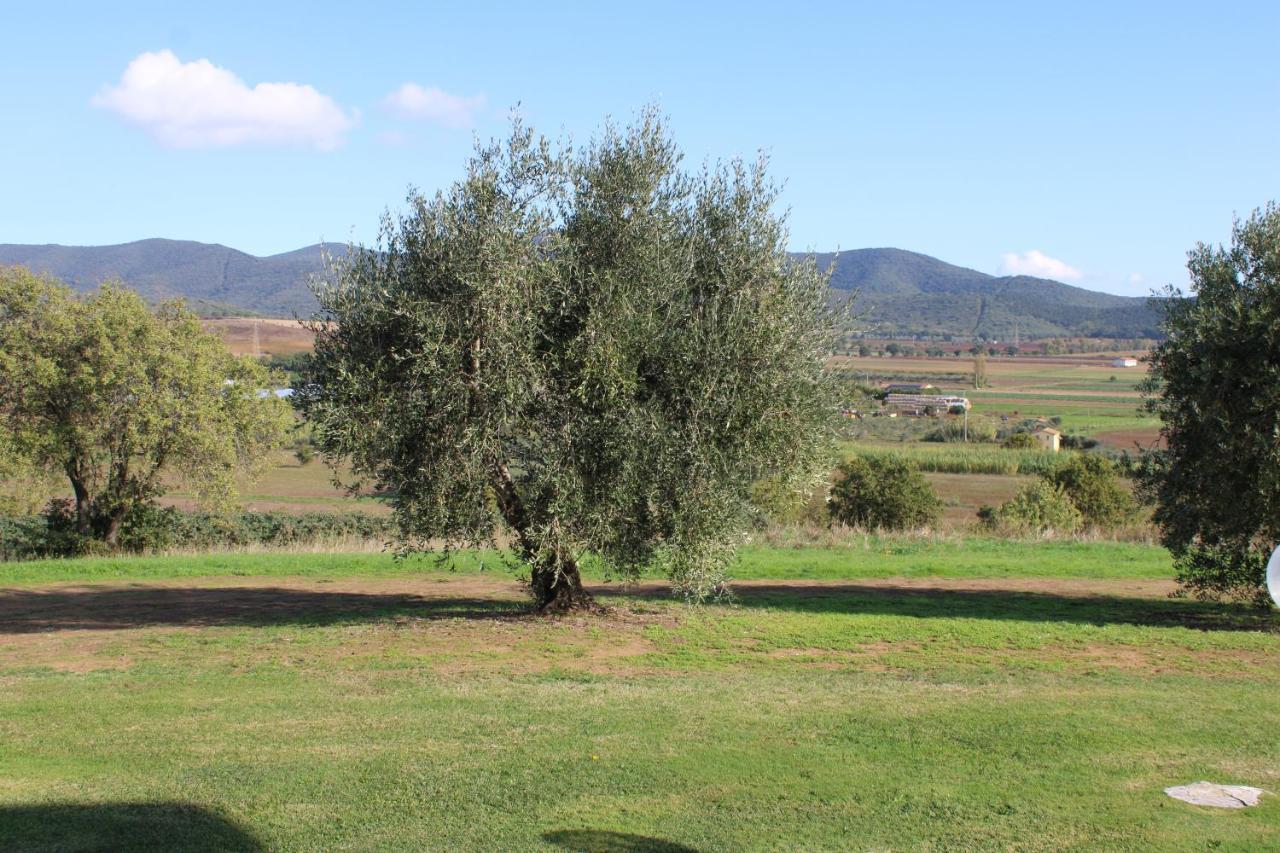 Willa Agriturismo Il Montoto Castiglione della Pescaia Zewnętrze zdjęcie